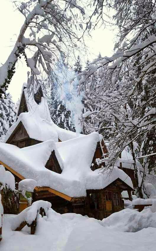 Holiday Park Zelenkovac Podrasnica Exterior foto