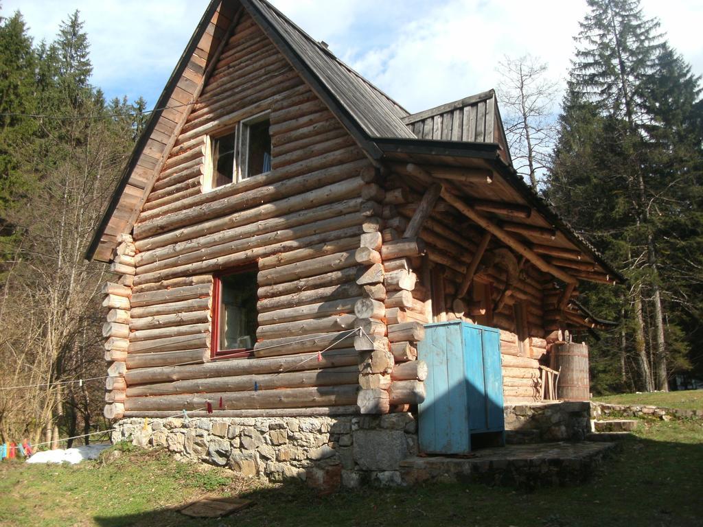 Holiday Park Zelenkovac Podrasnica Exterior foto